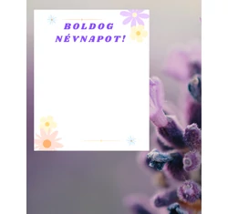 Boldog Névnapot!-Kísérőkártya